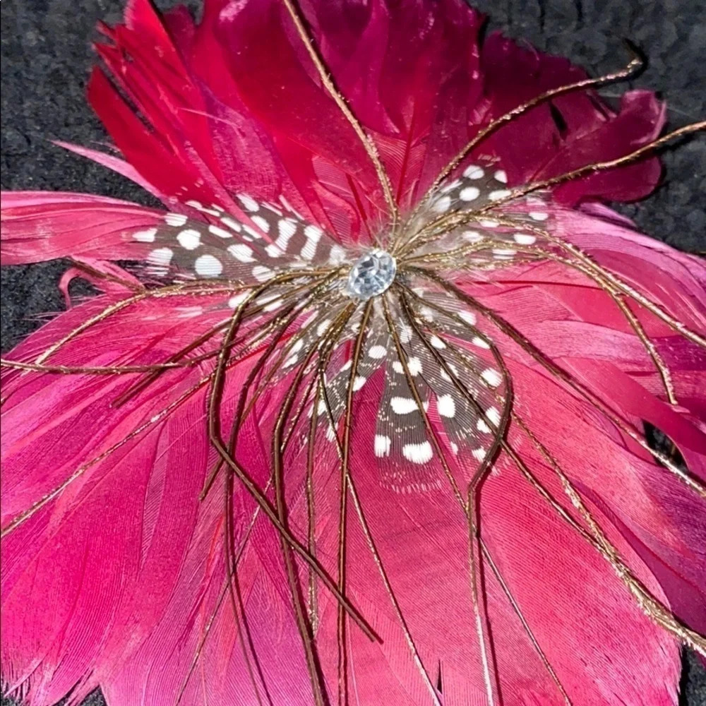 NWOT  Head piece/ feather accessory